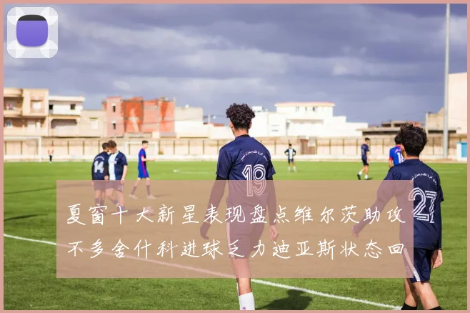 夏窗十大新星表现盘点维尔茨助攻不多舍什科进球乏力迪亚斯状态回暖