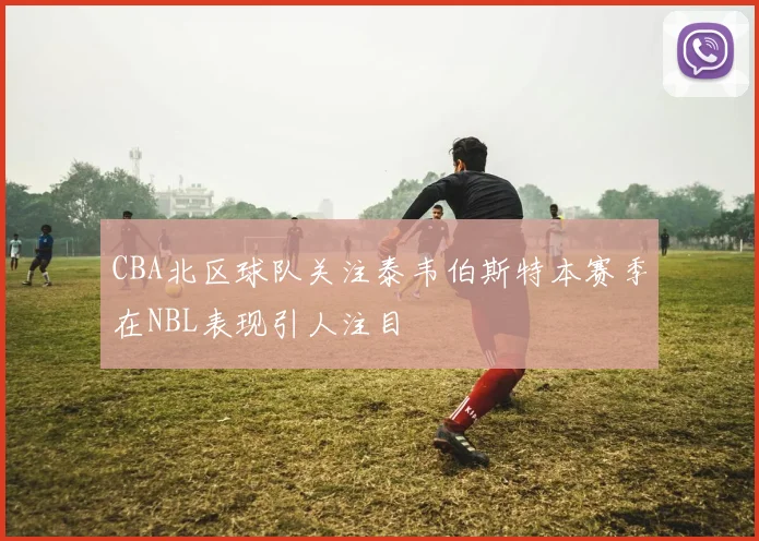 CBA北区球队关注泰韦伯斯特本赛季在NBL表现引人注目