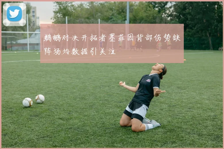 鹈鹕对决开拓者墨菲因背部伤势缺阵场均数据引关注