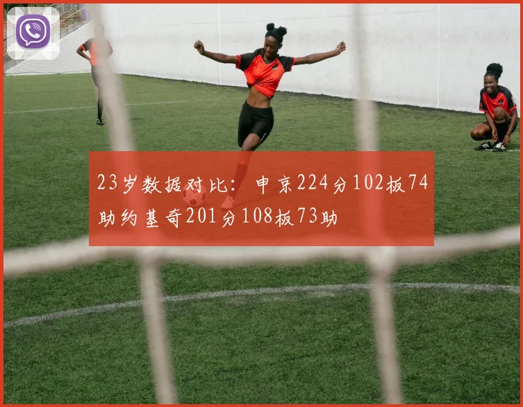 23岁数据对比：申京224分102板74助约基奇201分108板73助