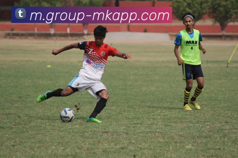 MK体育APP 封面图